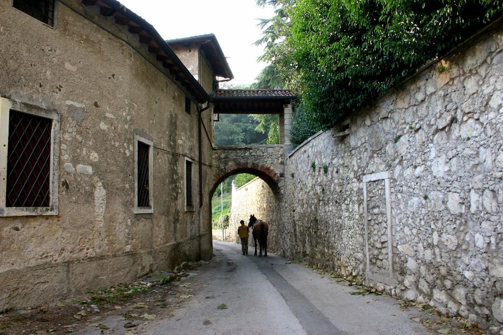 La Quiete Bed & Breakfast Brendola Bagian luar foto